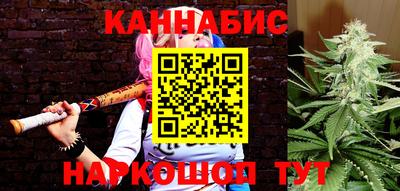индика Лесосибирск